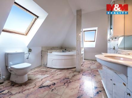 Pronájem domu/vily, 395 m²