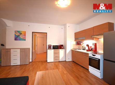 Pronájem bytu, 1+kk, 50 m²