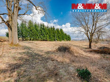 Prodej pozemku pro bydlení, 5 453 m²