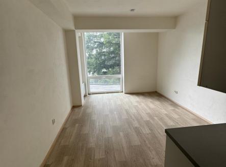 Pronájem bytu, 1+kk, 26 m²