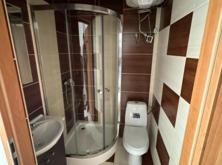 Pronájem bytu, 1+kk, 26 m²