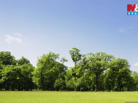 Prodej pozemku, trvalý travní porost, 1 807 m²