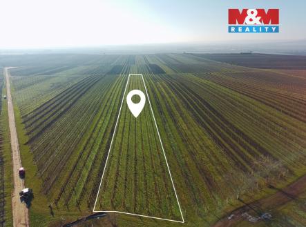 Prodej pozemku, zemědělská půda, 7 286 m²