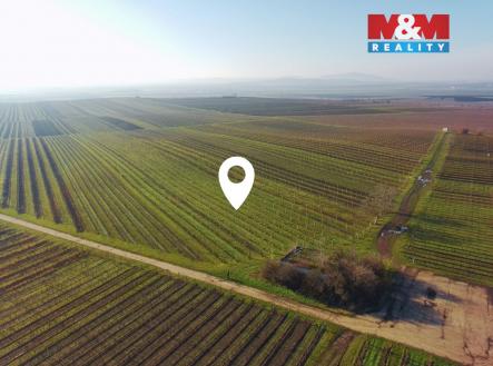 Prodej pozemku, zemědělská půda, 7 286 m²