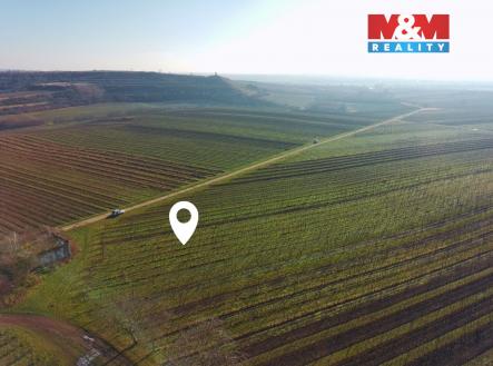 Prodej pozemku, zemědělská půda, 7 286 m²