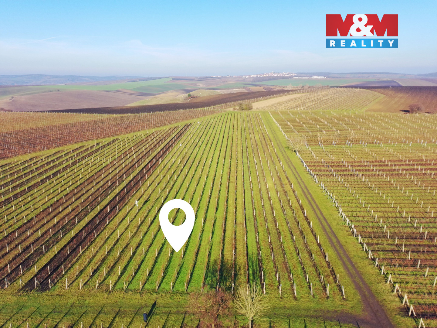 Návrh bez názvu (7).jpg