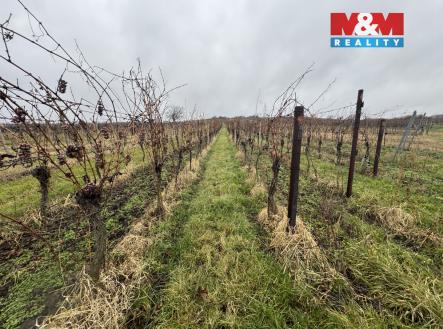 Prodej pozemku, zemědělská půda, 6 580 m²