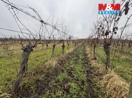 Prodej pozemku, zemědělská půda, 6 580 m²