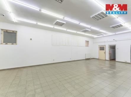 Pronájem obchodní prostor, 161 m²
