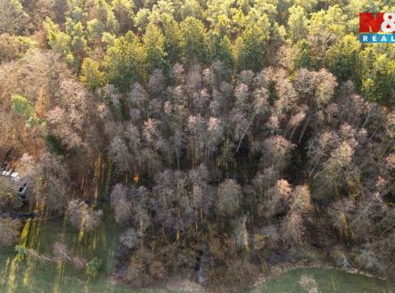 Prodej pozemku, les, 1 042 m²