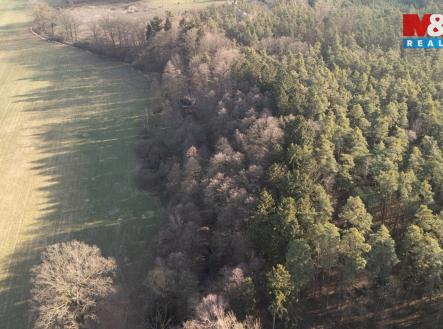 Prodej pozemku, les, 1 042 m²