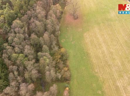 Prodej pozemku, les, 1 042 m²
