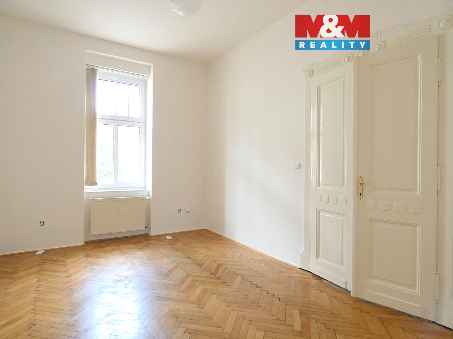 če1 - zadní bílá3.jpg