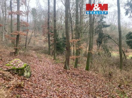 Prodej pozemku, les, 9 178 m²