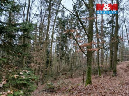 Prodej pozemku, les, 9 178 m²