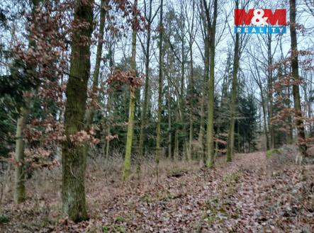 Prodej pozemku, les, 9 178 m²