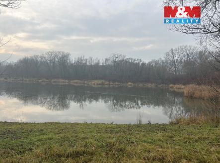 Prodej pozemku pro komerční výstavbu, 311 m²