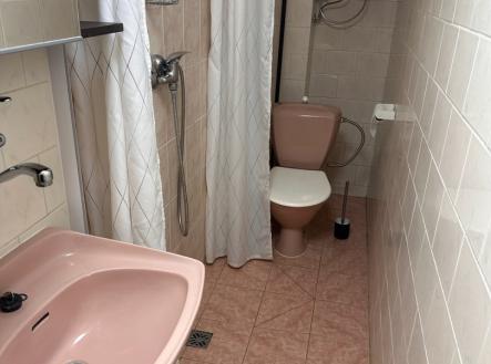 Pronájem bytu, 1+1, 25 m²