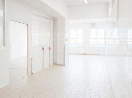 Pronájem skladovací prostor, 249 m²