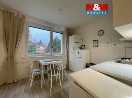 Pronájem bytu, 1+1, 38 m²