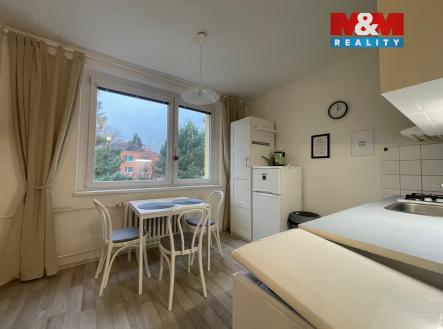 Pronájem bytu, 1+1, 38 m²