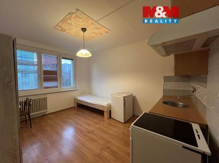 Pronájem bytu, 1+kk, 20 m²