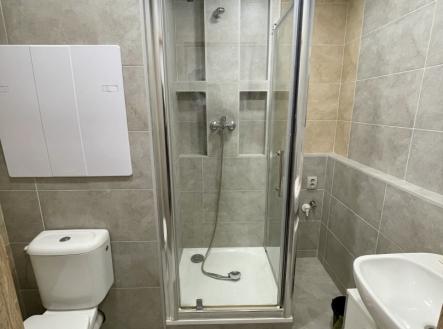 Prodej bytu, 1+kk, 29 m²