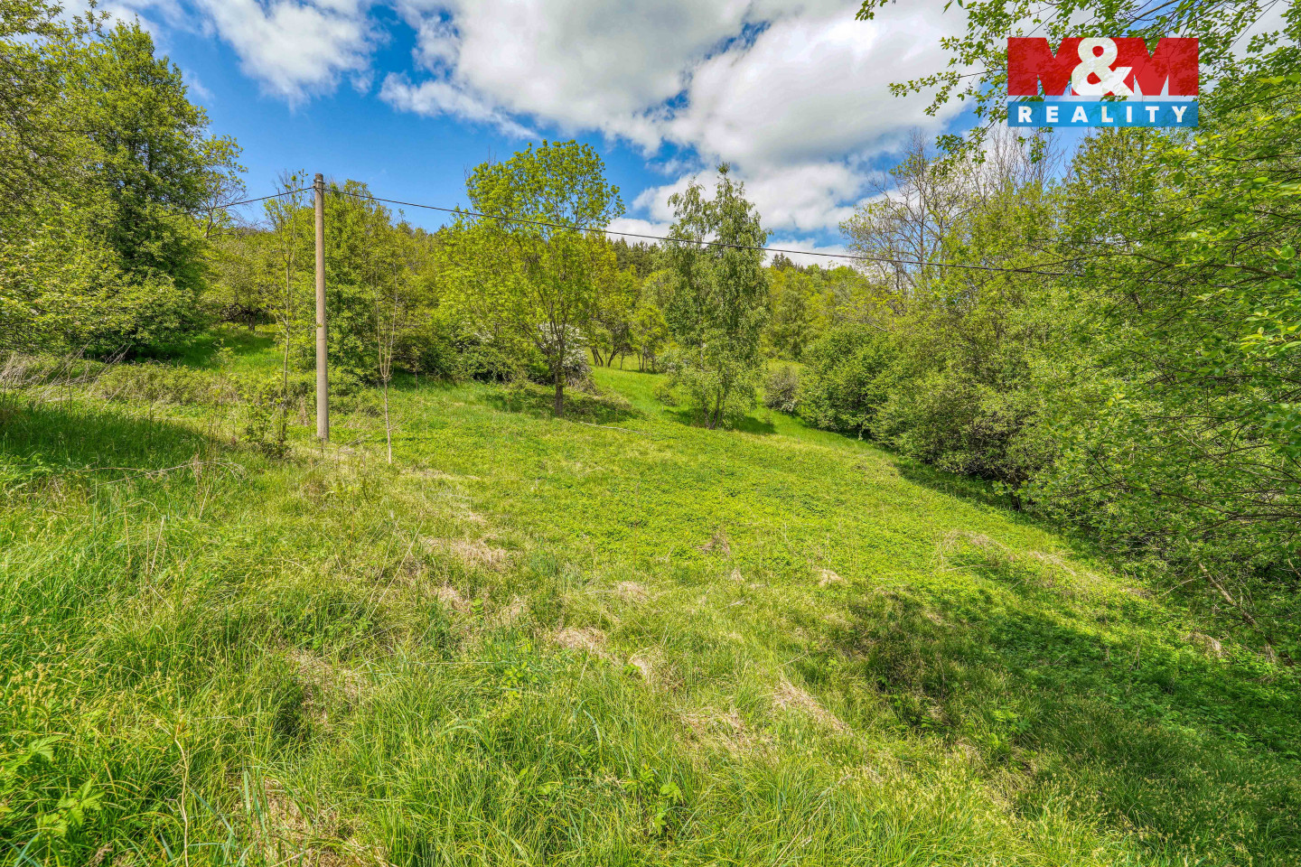 2c42a9db-5ba7-4472-a6ef-31745dc25729 (1).jpg