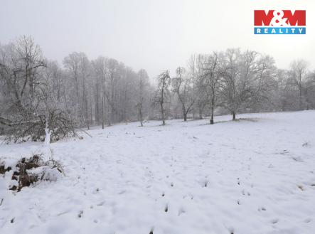 Prodej pozemku, zahrada, 7 658 m²