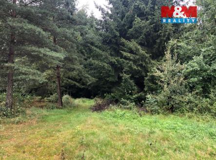 Prodej pozemku, ostatní, 8 649 m²