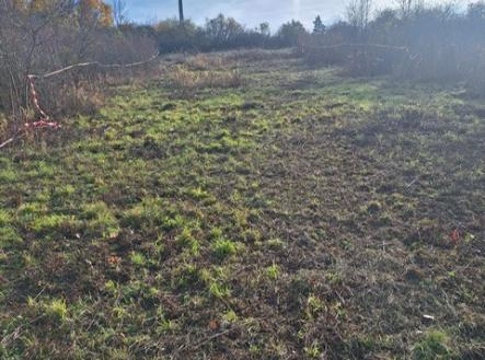 Prodej pozemku, zahrada, 928 m²