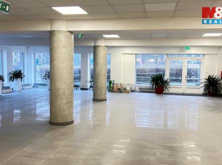 Pronájem obchodní prostor, 210 m²
