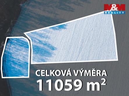 Prodej pozemku, zemědělská půda, 11 059 m²