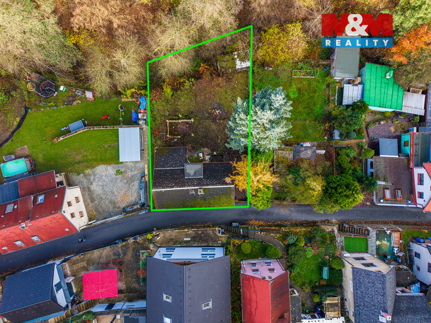 Jeleni╠ü 56_3.jpg