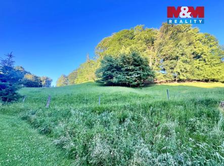 Prodej pozemku, trvalý travní porost, 5 449 m²