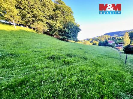 Prodej pozemku, trvalý travní porost, 5 449 m²