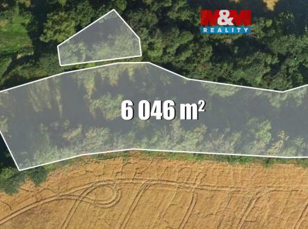 Prodej pozemku, trvalý travní porost, 6 046 m²