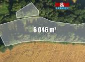 Prodej pozemku, trvalý travní porost, 6 046 m²