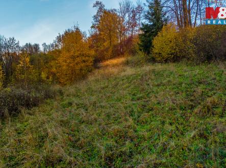 Prodej pozemku, trvalý travní porost, 6 046 m²