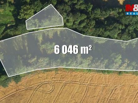 Prodej pozemku, trvalý travní porost, 6 046 m²