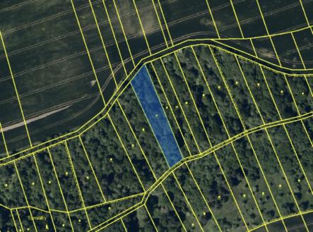 Prodej pozemku, trvalý travní porost, 2 250 m²