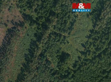 Prodej pozemku, les, 32 765 m²