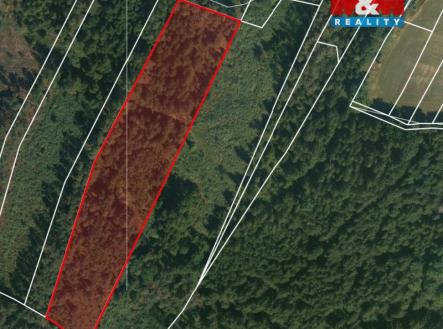 Prodej pozemku, les, 32 765 m²