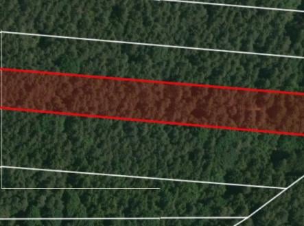 Prodej pozemku, les, 32 765 m²