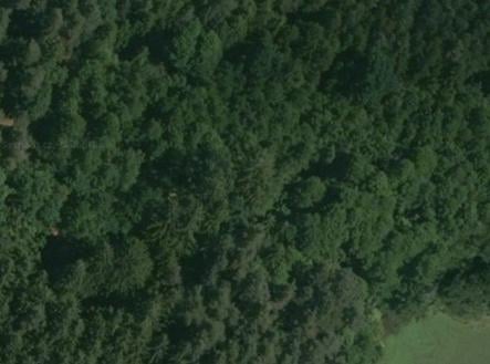 Prodej pozemku, les, 32 765 m²