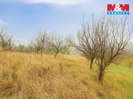 Prodej pozemku, zemědělská půda, 1 791 m²