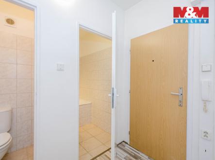 Pronájem bytu, 1+kk, 29 m²