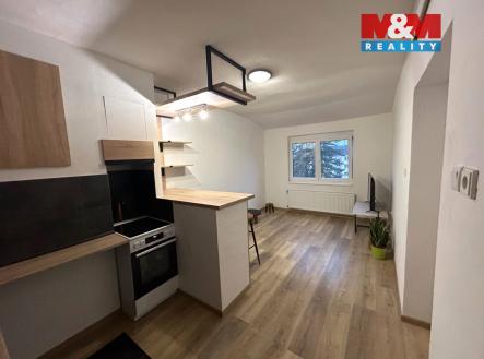 Pronájem bytu, 1+kk, 30 m²