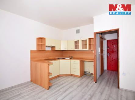 Pronájem bytu, 1+1, 35 m²