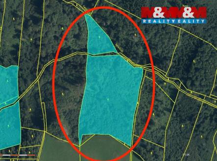 Prodej pozemku, les, 29 330 m²